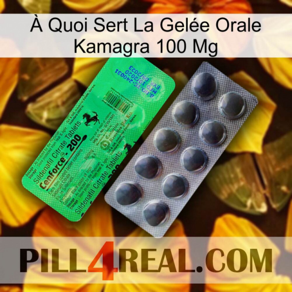 À Quoi Sert La Gelée Orale Kamagra 100 Mg new04.jpg